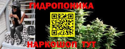 прущие грибы Аргун
