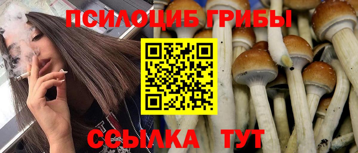 Псилоцибиновые грибы мицелий  Галлюциногенные грибы MAGIC MUSHROOMS  Вход с VPN  Бугуруслан 